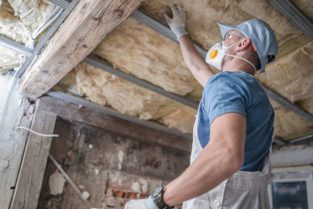 Best Insulation Maintenance and Repair in Winchester, OH