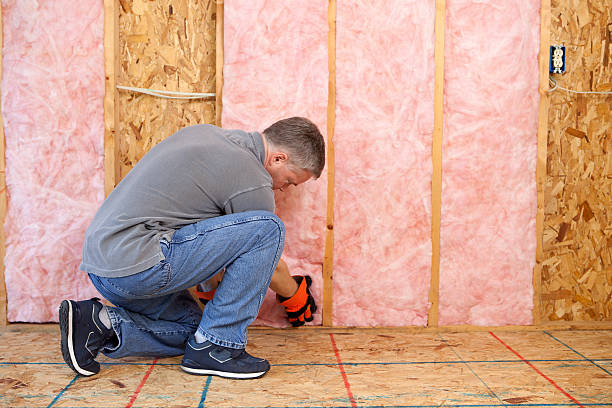 Best Insulation Maintenance and Repair in Winchester, OH